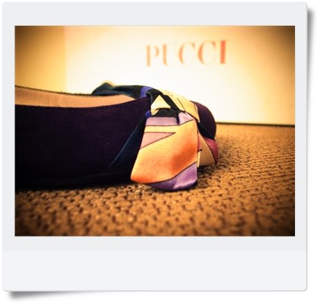 pucci 3.JPG