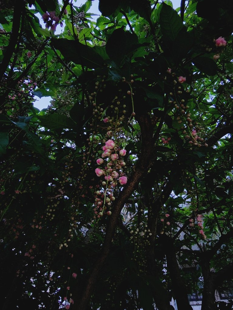 20220701_183737.jpg