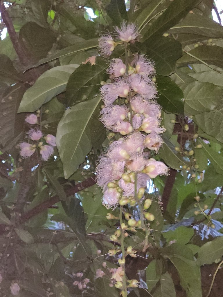 20220701_184225.jpg