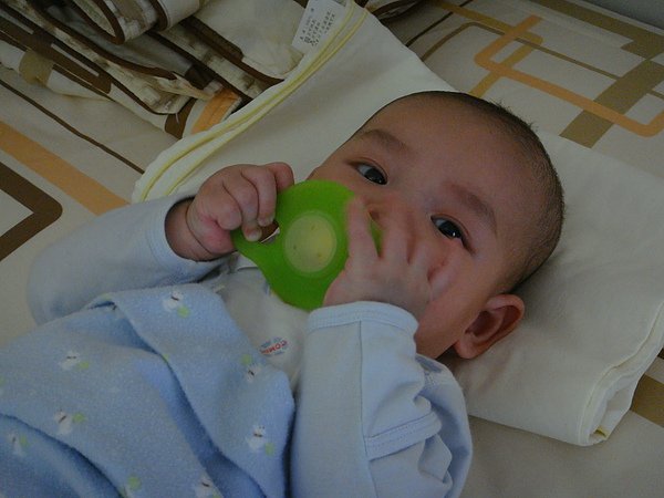 DSC02139.JPG