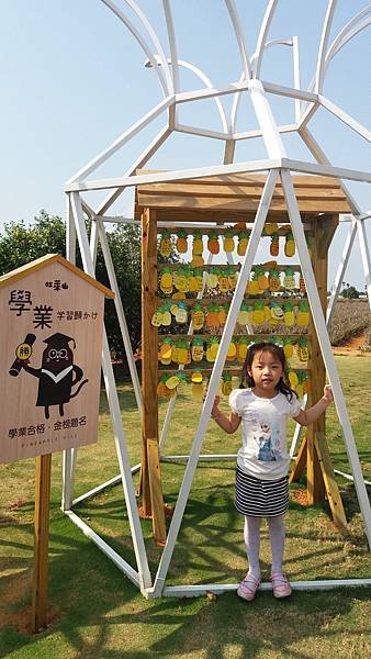 20170408_143207.jpg