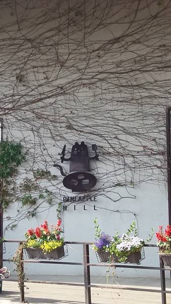 20170408_144815.jpg