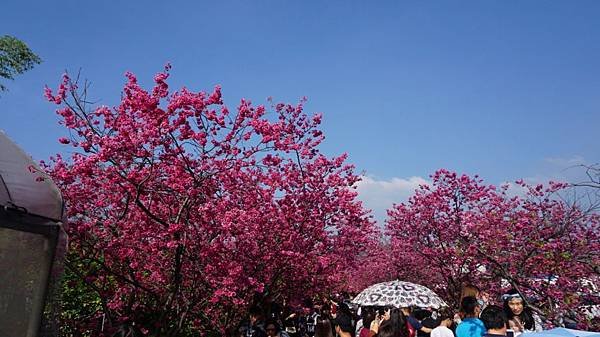 DSC04153.JPG