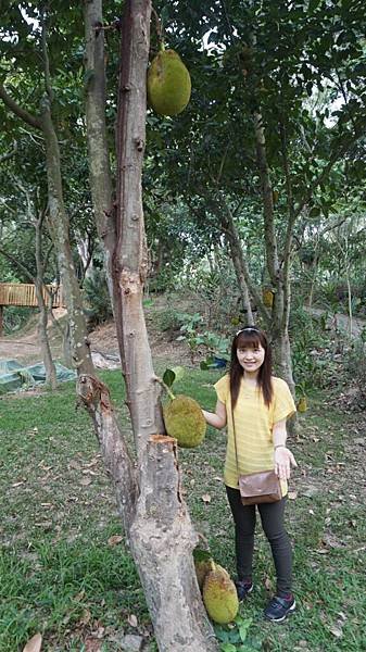 DSC04588.JPG