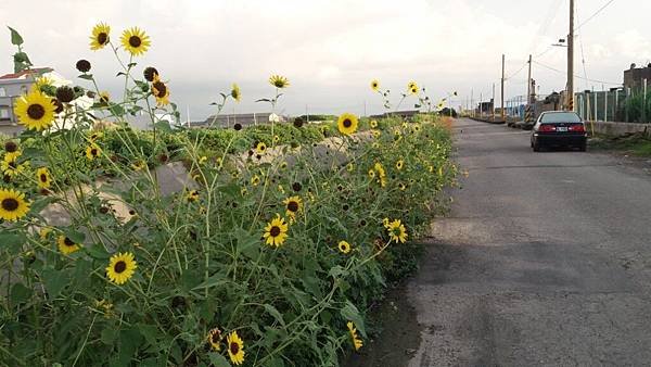 20180804_181133.jpg