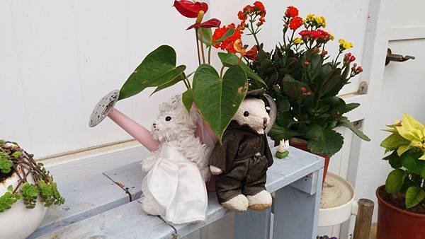 20181229_154423.jpg