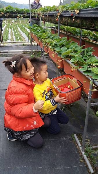 20181231_150548.jpg