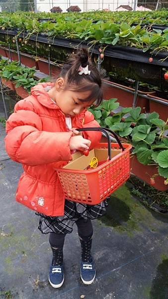 20181231_151311.jpg