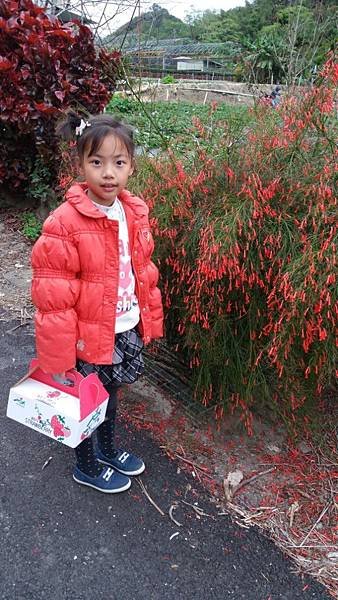 20181231_153115.jpg