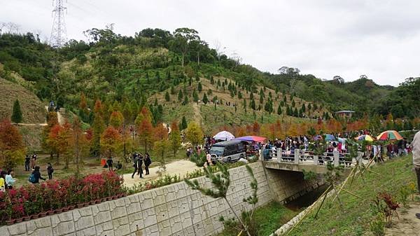 DSC01594.JPG