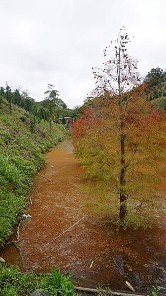 DSC01634.JPG