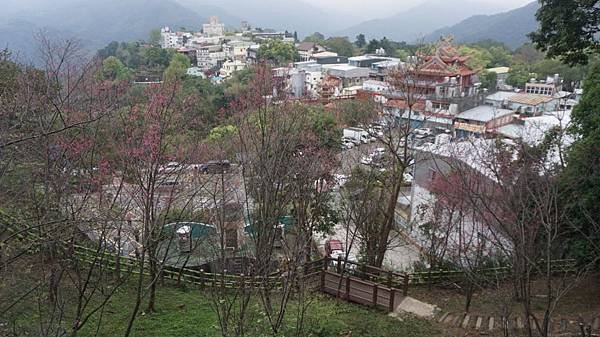 DSC02569.JPG