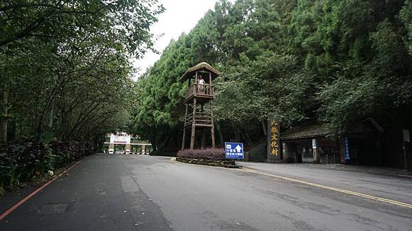 DSC03950.JPG