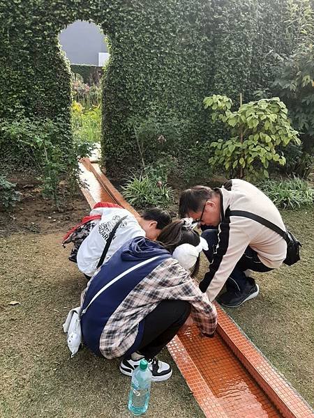 嘉義市後壁「雅聞湖濱療癒公園」遊照