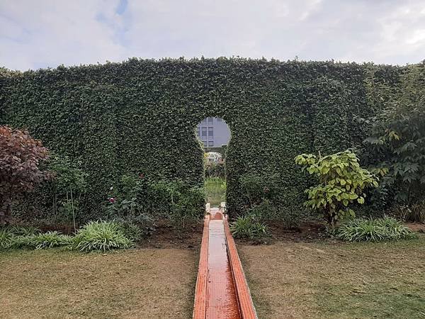 嘉義市後壁「雅聞湖濱療癒公園」遊照