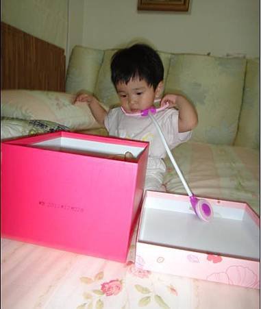 2013年11月生活寫真