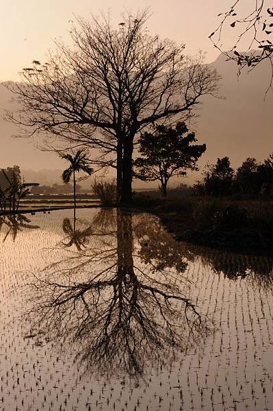 DSC_6755_調整大小 