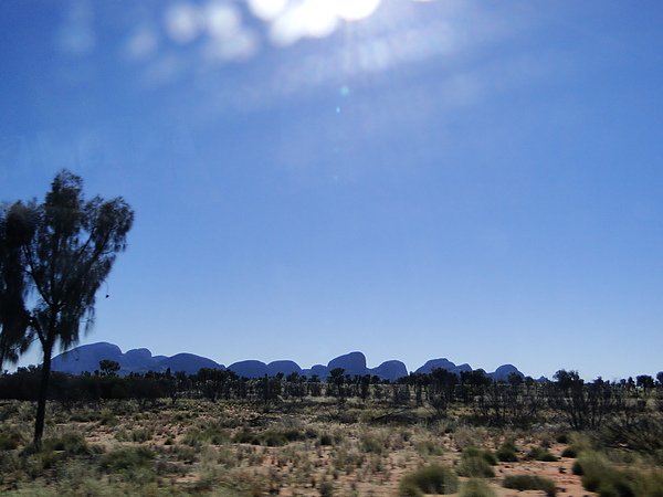 DSC00585.JPG