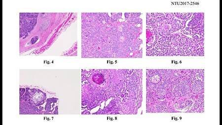 Pathology 2.jpg