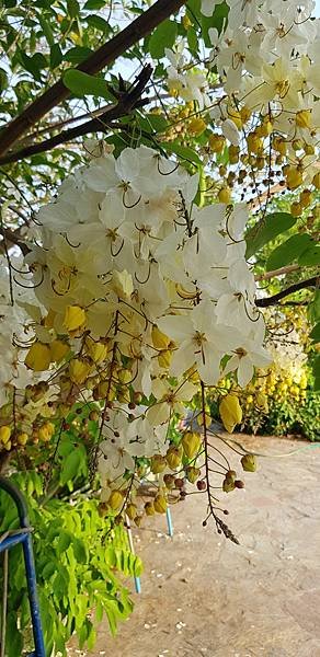 20180423_170855.jpg