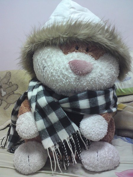 DSC01386.JPG