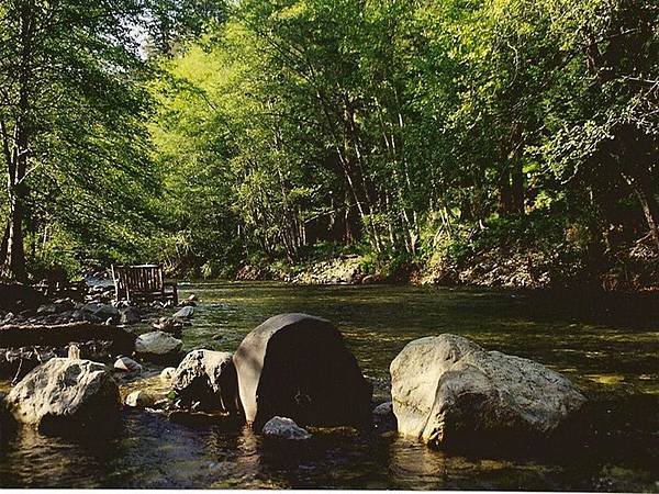 14904 Big Sur River