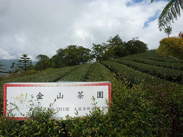 95004 425.jpg