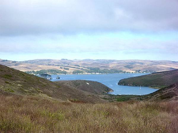 019 040 Tomales Point.jpg