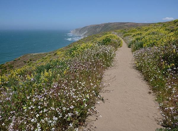 019 070 Tomales Point Trail.jpg