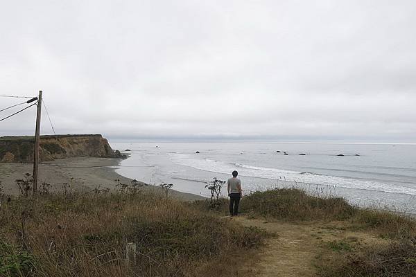 313 210 Westport Union Landing State Beach.jpg