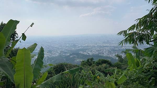 親子旅遊-咬人狗坑爬山+入住台中水雲端飯店