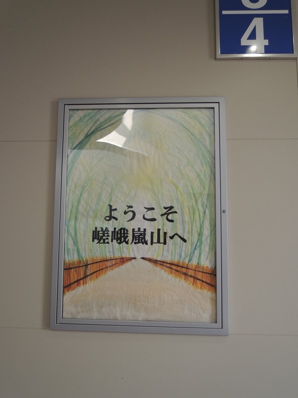 167-DSCN4122