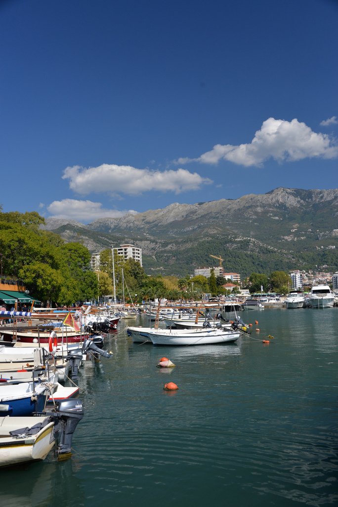 DSC_7119.JPG