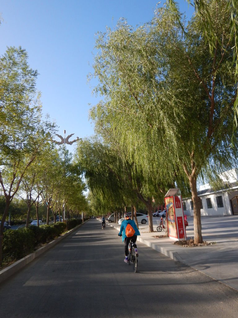 DSCN2742.JPG