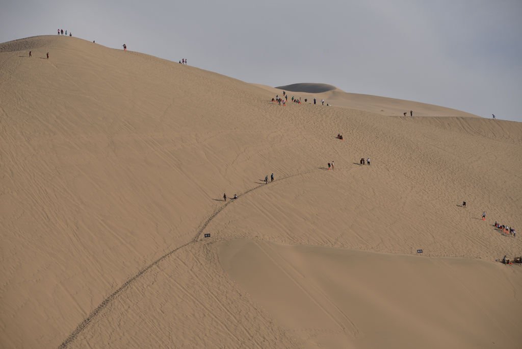 DSC_6414.JPG