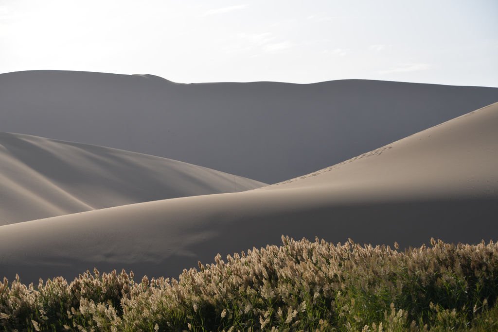 DSC_6415.JPG