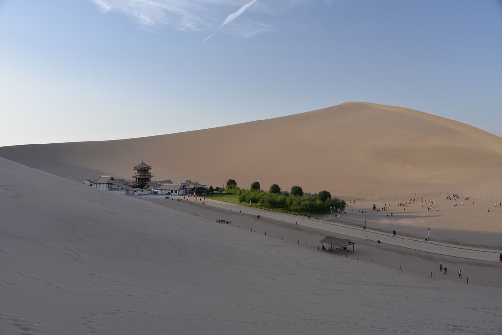DSC_6484.JPG