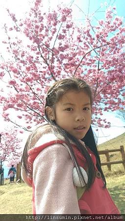 IMAG0568.jpg
