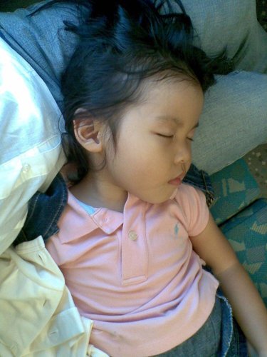 ap_F23_20110227090344475.jpg