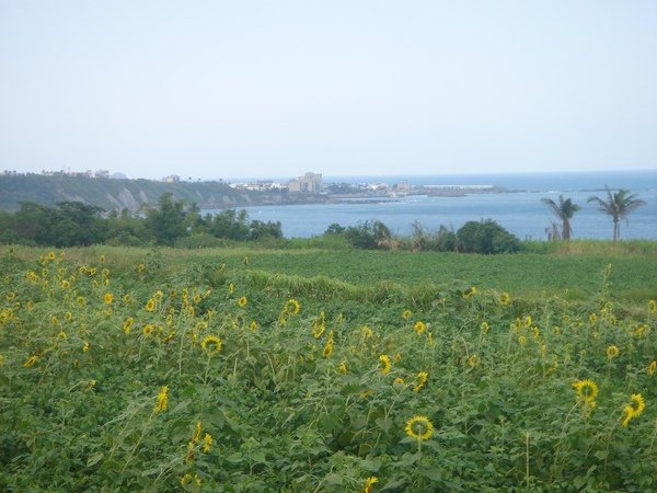 DSC09614.JPG