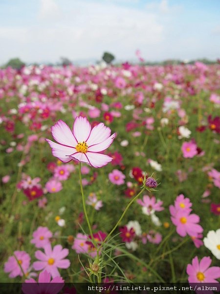 PA247984.JPG