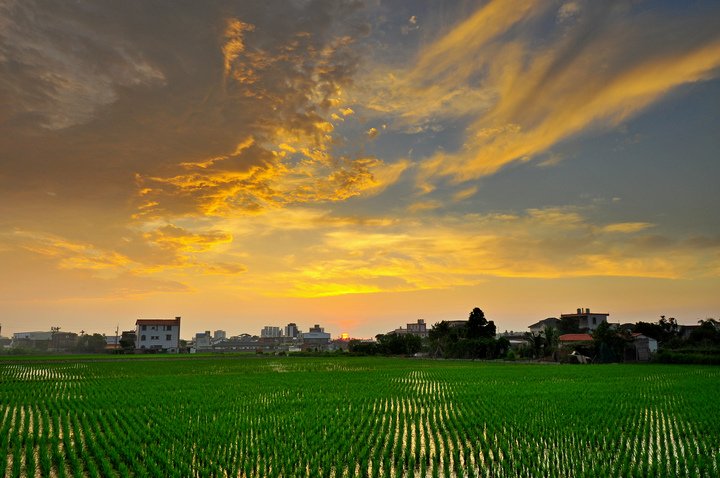 夕陽--51.jpg
