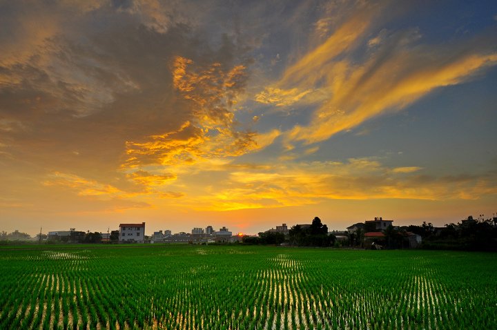 夕陽--52.jpg