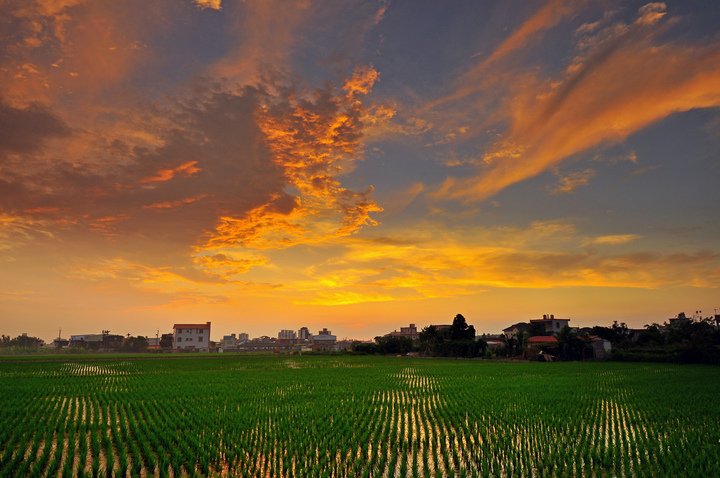 夕陽--53.jpg