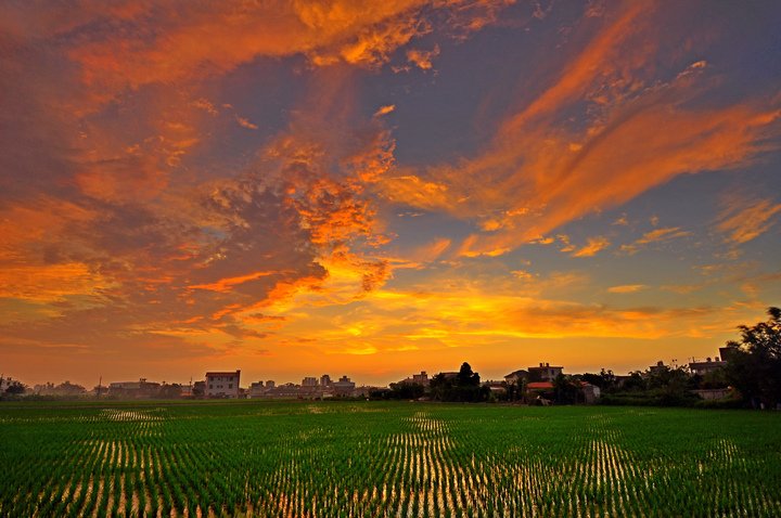 夕陽--54.jpg