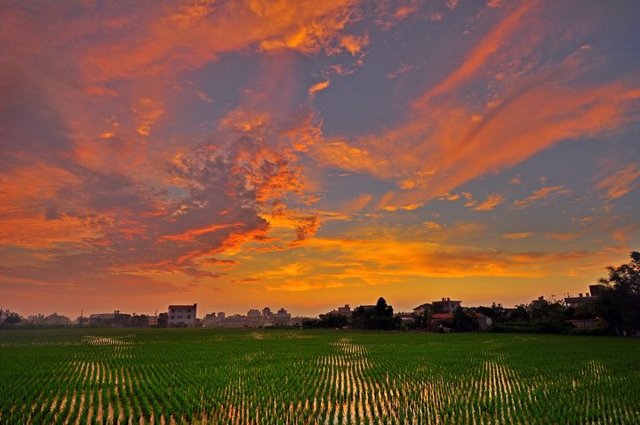 夕陽--55.jpg