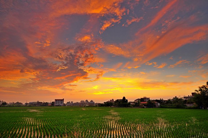 夕陽--56.jpg