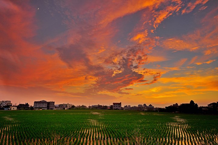 夕陽--57.jpg