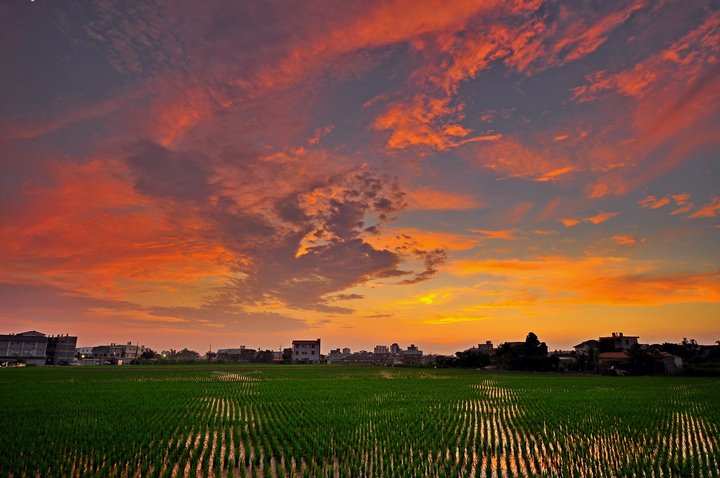 夕陽--58.jpg