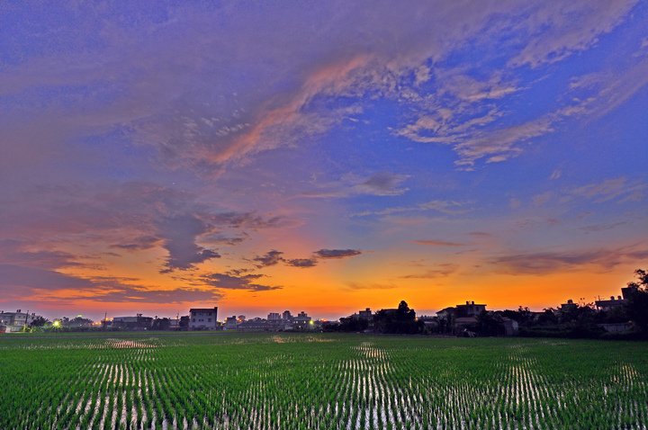 夕陽--59.jpg